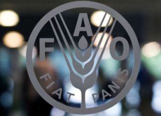 FAO: Precios mundiales de los alimentos caen 1.3% en octubre