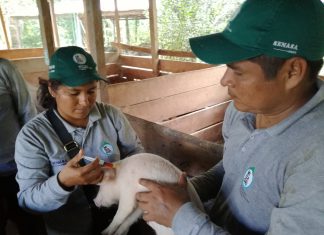 25 Años SENASA: Sanidad agraria e inocuidad en la Amazonía con el Jantu