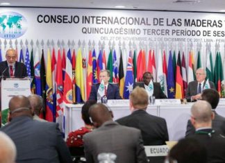 MINAGRI: La meta del sector es recuperar 3 millones de hectáreas degradadas de plantaciones forestales