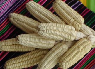 Agraria.pe: Perú exporta más de US$ 9 millones en maíz blanco del Cusco