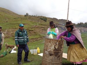 Productores de papa nativa de Yauli se benefician con Escuelas de Campo - Senasa