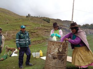 Productores de papa nativa de Yauli se benefician con Escuelas de Campo - Senasa