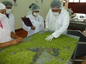 Senasa - Inspeccion Qali Warma