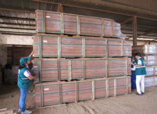 Madre de Dios: Inspección fitosanitaria de madera para exportación a Francia
