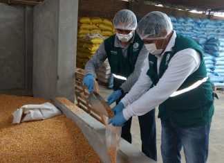 Ica: Monitoreo de residuos químicos en maíz y soya