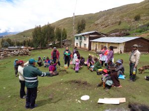 Senasa - Productores de papa nativa de Yauli se benefician con Escuelas de Campo