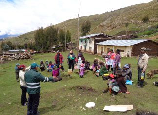 Productores de papa nativa de Yauli se benefician con Escuelas de Campo