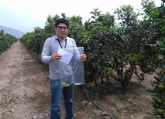 Huaral: Senasa actualiza procedimientos de toma de muestras de alimentos