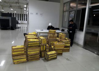 La Libertad: Senasa comisa más de una tonelada de uva sin certificación fitosanitaria