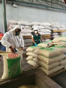 Senasa realiza procedimiento de Guarda Custodia a carga de Rye Grass Inglés