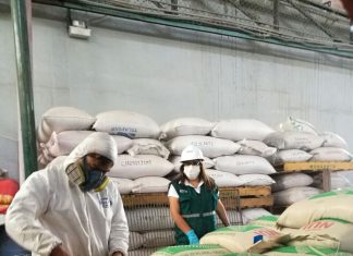 Senasa realiza procedimiento de Guarda Custodia a carga de Rye Grass Inglés