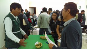 Senasa refuerza capacidades de productores en cultivo de palto