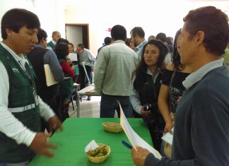 Huánuco: Senasa refuerza capacidades de productores en cultivo de palto