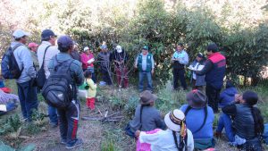 Senasa y productores articulan acciones para prevenir plagas en frutas