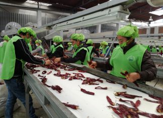 ADEX: Exportaciones generarían 3.427.000 empleos este año