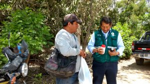 Acciones del Senasa y municipalidad de Pueblo Nuevo en beneficio de los porcicultores