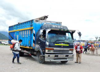 San Martín: Senasa protege actividad pecuaria con emisión de CSTI