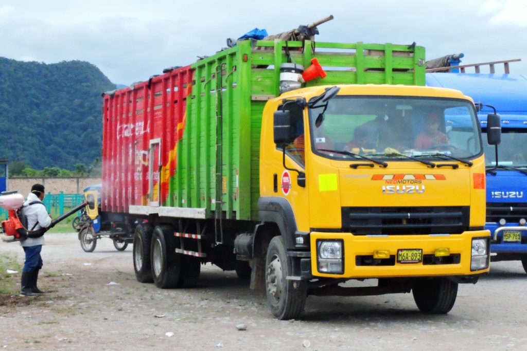 Senasa protege actividad pecuaria con emisión de Certificado Sanitario de Tránsito Interno