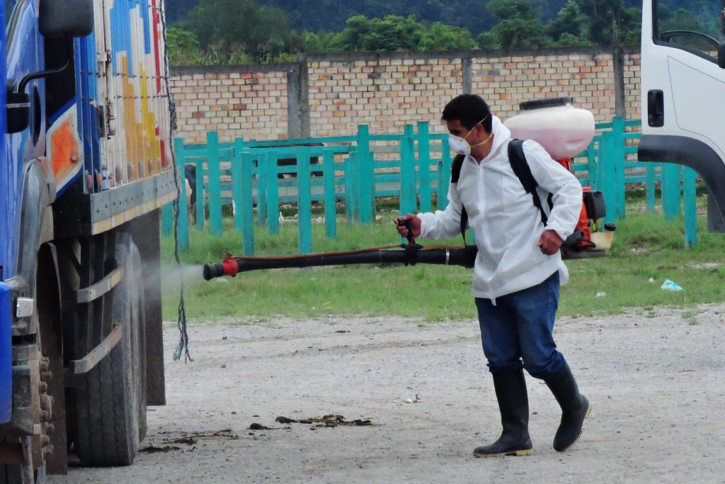 Senasa protege actividad pecuaria con emisión de Certificado Sanitario de Tránsito Interno