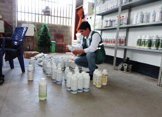 San Martín: Inspección a establecimiento de venta de plaguicidas en distrito de Morales