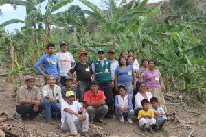 Senasa - Agricultores de Selva Central son reconocidos en ECA enfocadas en cultivo de plátano y banano