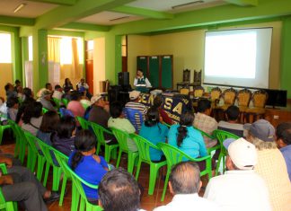 Senasa: Arranca campaña de exportación de Mango en Áncash