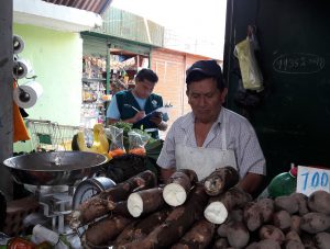 Senasa - Mercado de Bellavista