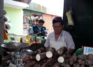 Labor conjunta del Senasa y municipalidades permite certificación de puestos de venta saludable