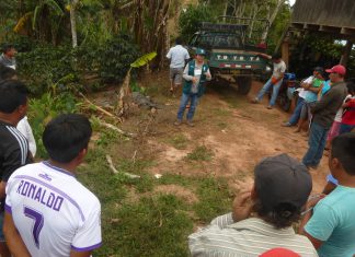 San Martín: Más de 300 agricultores son reconocidos como expertos en MIP del café