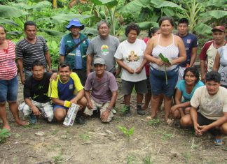 Productores de Loreto son reconocidos como expertos en MIP plátano
