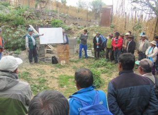 Apurímac: Productores fortalecen acciones en MIP en cultivo de palto
