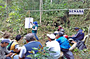Senasa - Trabajos de cafe en la selva