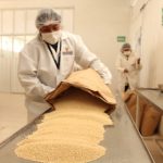 Senasa certificó 401 toneladas de quinua para exportación en el 2017