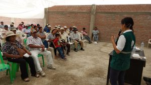 Senasa instruye a pequeños agricultores sobre control de mosca de la fruta en sector Cabeza de Toro