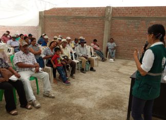Ica: Senasa instruye a pequeños agricultores sobre control de mosca de la fruta