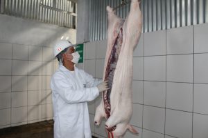 Senasa otorga autorización sanitaria a matadero de La Colina en Majes