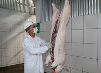 Arequipa: Senasa otorga autorización sanitaria a matadero de La Colina en Majes