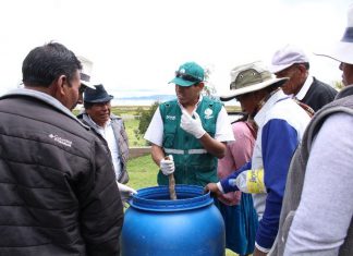 Senasa promueve uso del control biológico en cultivos de Puno