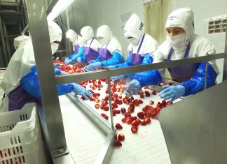 Ate: Senasa realiza inspección sanitaria de seguimiento a empresa AGROWORLD