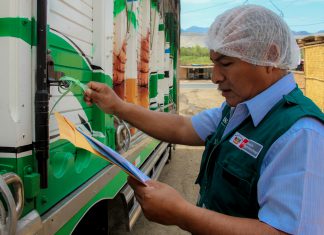 Áncash: Senasa verifica envíos de mango procedente de Piura