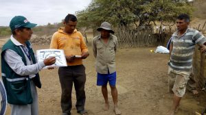 Tumbes Senasa instruye a ganaderos de Tacural en el control de enfermedades clostridiales en ganado caprino
