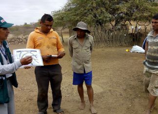 Tumbes: Senasa instruye a ganaderos en el control de enfermedades clostridiales