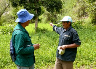 Ayacucho: SENASA y pequeños fruticultores del Valle de Torobamba se comprometen en el control de mosca de la fruta