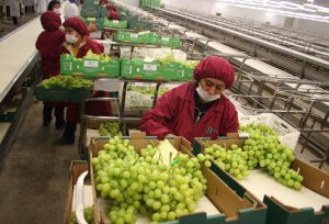 Minagri - Agroexportaciones