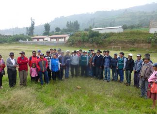 Apurímac: SENASA instruye a pequeños productores de Curahuasi en MIP de papa