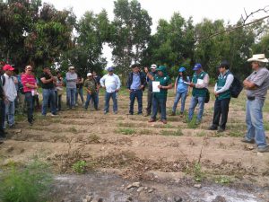 Senasa dicta curso sobre medidas fitosanitarias en La Libertad