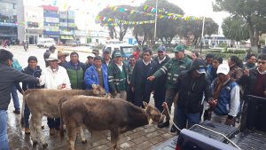 Senasa lanza programa de prevención y control de Carbunco sintomático