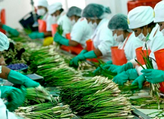 Perú, el tercer país con mayor crecimiento en exportaciones