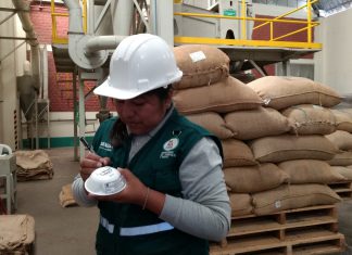 Ica: Senasa mantiene vigilancia fitosanitaria en granos almacenados