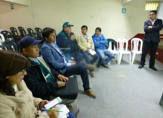 Apurímac: Más de 58 mil bovinos serán vacunados contra el Carbunco sintomático